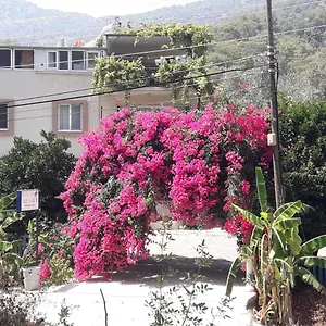 Rose Apartment