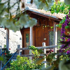 Agora Homestay